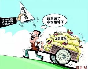 粮食收购 筑牢粮食安全的第一道防线