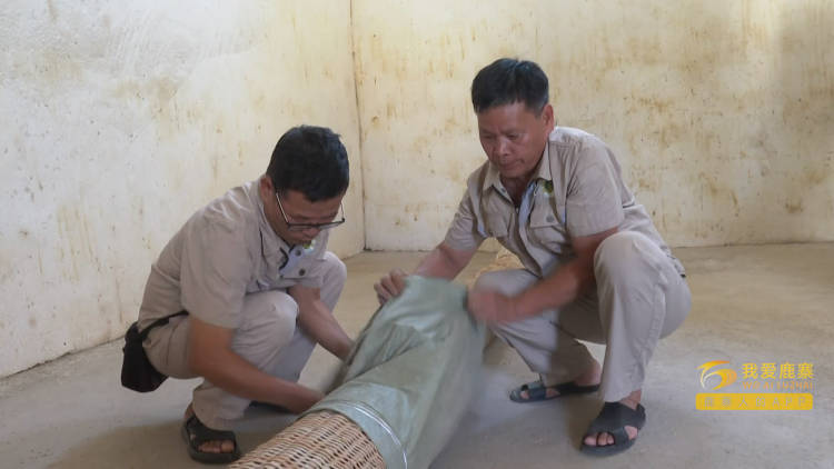 夏粮丰收稳根基 收购有序保民生