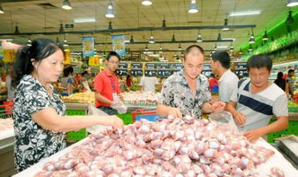 陵川7月主粮市场动态 玉米收购价小幅波动，米面油价格平稳