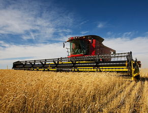 粮食收购与保险 保障农业生产的最后一道防线